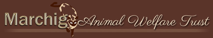 The Marchig Animal Welfare Trust - Welcome